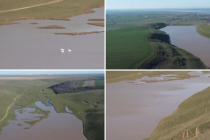 video un lac din olt secat ani la rand s a reumplut dupa ploile si ninsorile din ultimele luni au inceput sa apara si pasarile 69b63dfec7832