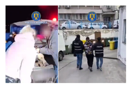 video urmarire ca n filme un braconier a fost retinut dupa ce a avariat intentionat o autospeciala de politie nu avea nici permis auto 69b31e4873d3c