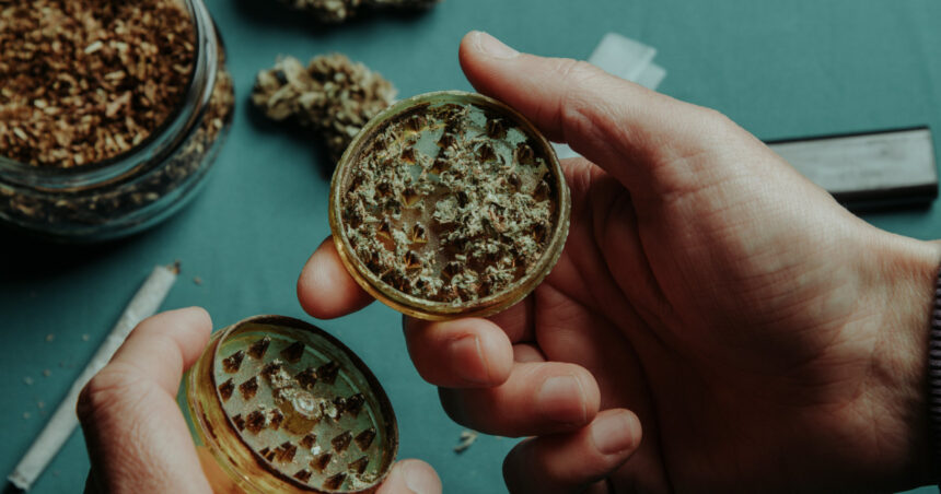 administratia trump reclasifica canabisul pentru a extinde utilizarea in scopuri medicale 69ea3524dcc8d