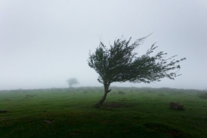 alerta meteo cod galben pentru doua zile vezi aici zona vizata 69dca582b45d9