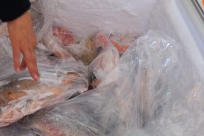 amenzi de peste 4 milioane de lei la comercianti de peste inspectorii anpc au descoperit marfa alterata si conditii insalubre 69ecae0e9891b