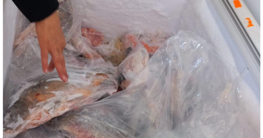 amenzi de peste 4 milioane de lei la comercianti de peste inspectorii anpc au descoperit marfa alterata si conditii insalubre 69ecae0e9891b