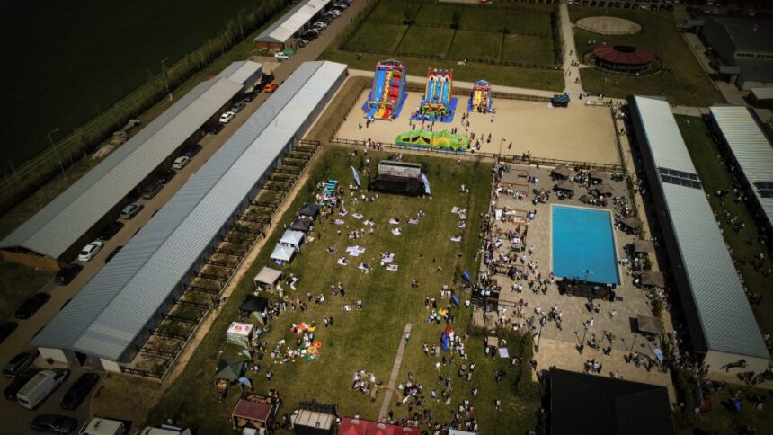 black sea horses amanat din cauza vremii 69f088c0300db