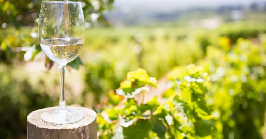 comuna din prahova care a devenit prima localitate oenoturistica din romania alte cateva ar putea urma cat de curand 69f2ed5e99296