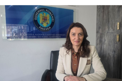 foto exportul de animale vii prin portul midia a crescut in ultimul an ce spune corina ivanciu directorul dsvsa despre reglementari si monitorizarea transporturilor 69d86aa104e9c