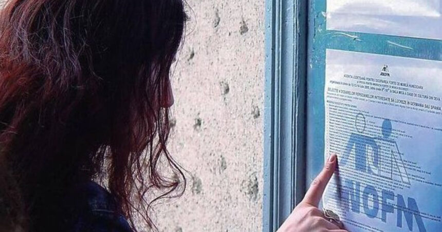 guvernul a aprobat modernizarea anofm servicii digitale si echipe mobile pentru integrarea pe piata muncii 69e0c865e8f52