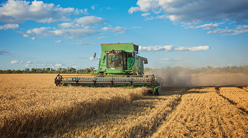 guvernul a aprobat o ordonanta de urgenta privind infiintarea retelei de date referitoare la durabilitatea agricola 69d8ad82bdbdf