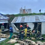 interventie de urgenta pentru salvarea oilor din accidentul de la navodari 69e72e00c662e