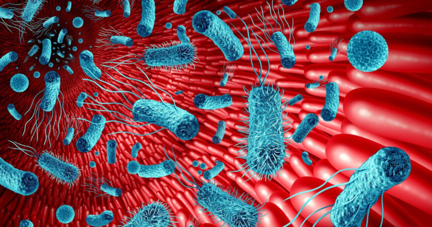 intestinul al doilea creier cum influenteaza microbiomul sanatatea si memoria studiu 69dd5a7c5c5aa