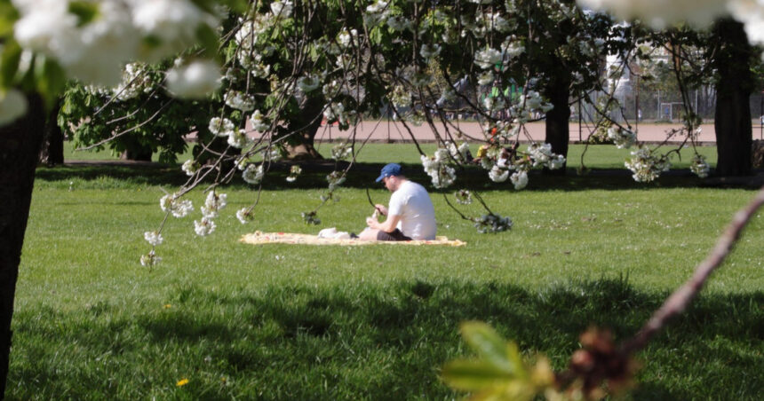 meteorologii anunta cum va fi vremea in minivacanta de 1 mai estimari pentru urmatoarele patru saptamani 69e1d4972487a