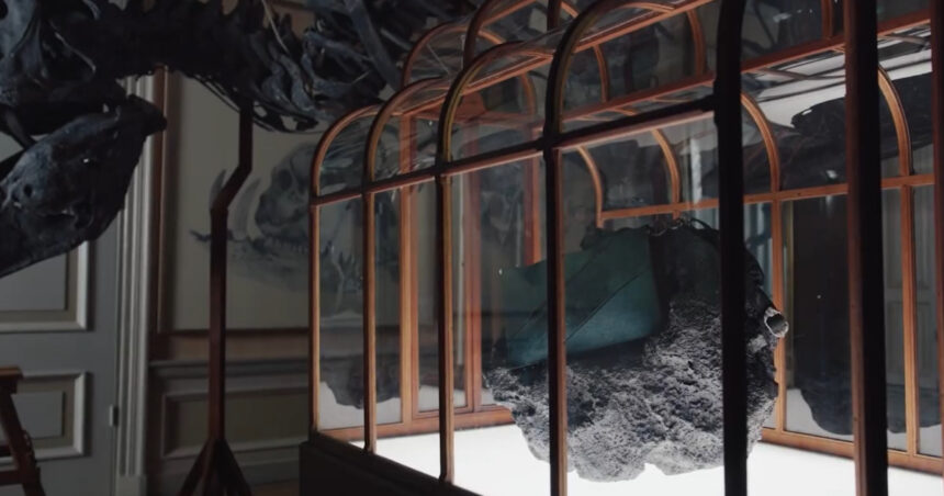 o geanta de mana facuta din colagen derivat din fosile de dinozaur va fi scoasa la licitatie pentru jumatate de milion de dolari 69d330fa1ddcc