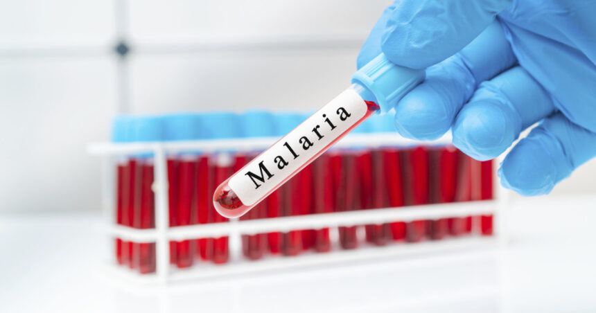 oms aproba in premiera un medicament impotriva malariei destinat sugarilor 69ec955fb47cd