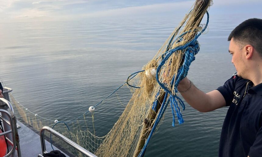 politistii de frontiera au salvat cinci sturioni prinsi in plase ilegale in marea neagra iata cine a facut descoperirea 69df6815c0fee