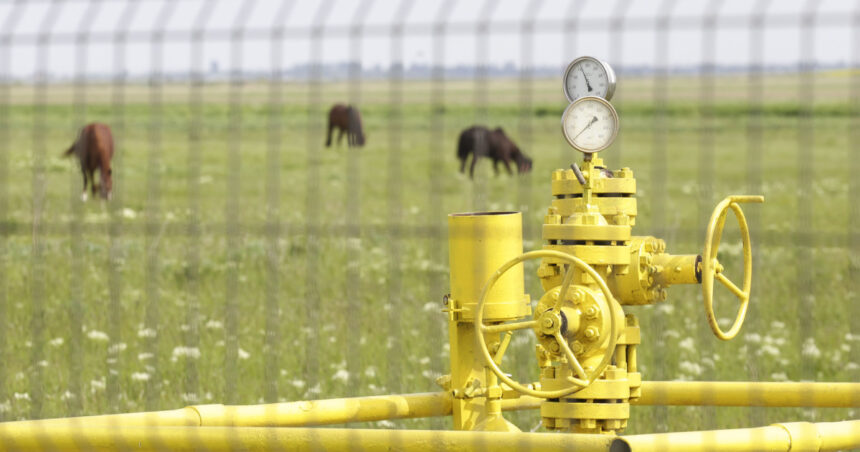 record de adancime in proiectul de extractie de gaze caragele a patra sonda romgaz a atins 5 256 de metri sapati 69d4df064eaa1