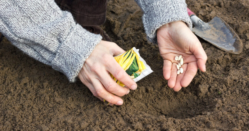 singura tara din lume care isi poate acoperi integral hrana din resurse proprii cum sta romania intr un astfel de clasament mondial 69df190049dcf