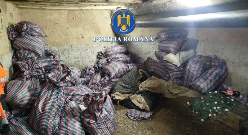 tulcea 4 barbati au ajuns dupa gratii in dosarul de braconaj piscicol instrumentat de politistii de frontiera 69e33d0879a24