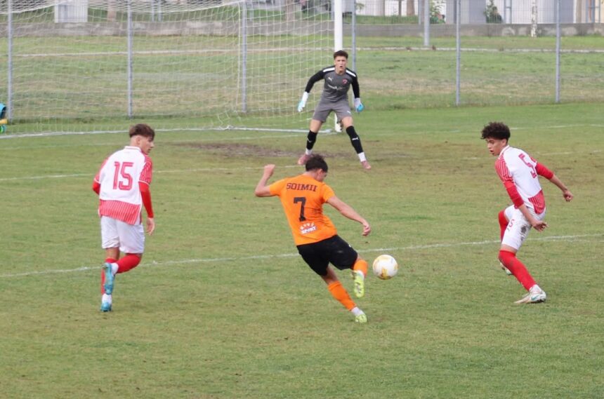 victorie soimii din cernavoda au dat recital pe terenul echipei secunde de la dinamo bucuresti 69ebb3f9bb7a1