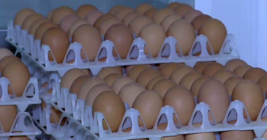 video alerta sanitara in prag de sarbatori 15 milioane de oua care ar fi contaminate cu salmonella retrase de la vanzare 69da2ad90c69e