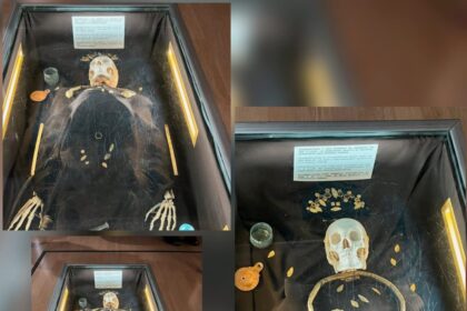 video arheologul ana hamat despre comoara doamnei de pe ferdinand cercei din aur de o raritate exceptionala descoperiti in constanta 69e7fd45d498a