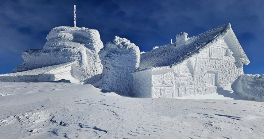 video cum arata viata pe varful omu meteorologii inconjurati de vulpi corbi si o pisica devenita mascota 69ecaa75035dc
