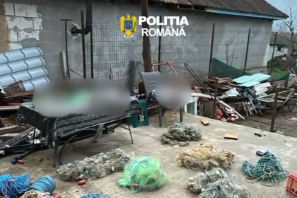video descinderi de amploare in seimeni dunarea topalu capidava si harsova intr un dosar privind infractiuni de braconaj furt si tainuire 69cfbcdaa3929
