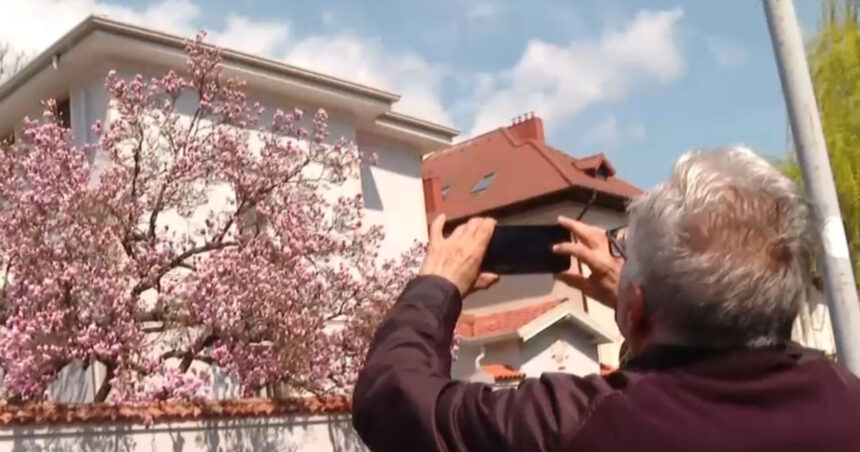 video explozie de culori pe strazile din capitala unde se afla cele mai spectaculoase magnolii din bucuresti 69d13a31cbfb3