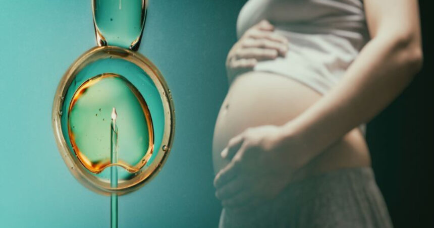 video guvernul a aprobat programul fertilizare in vitro pentru 2026 2030 cine poate beneficia de voucherele de 15 000 de lei 69ea1edda4482