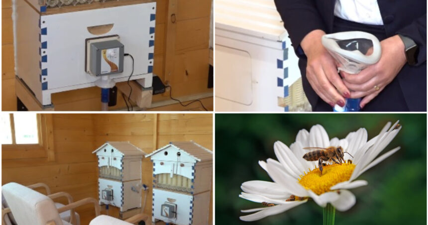 video metoda naturala inovatoare terapia cu aerul din stup judetele din romania unde oamenii pot face apiterapie e foarte benefica 69e4740aee758