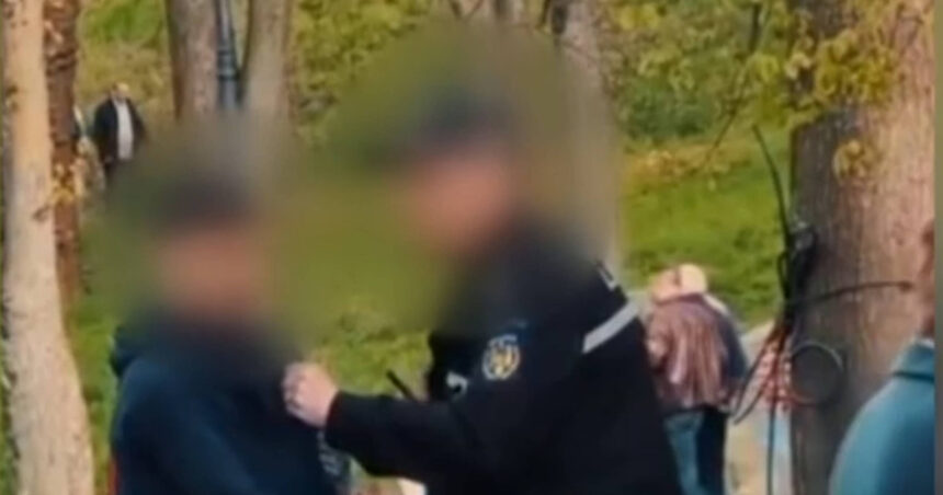 video motivul pentru care un politist local din craiova a bruscat un copil in parc agentul este cercetat disciplinar 69de65acbd528