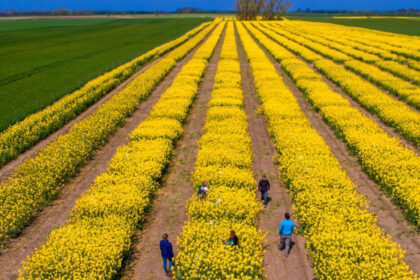 video tensiunile dintre sua si iran agita pietele agricole cezar gheorghe expert romania nu risca penurie alimentara 69db742c4fbaa