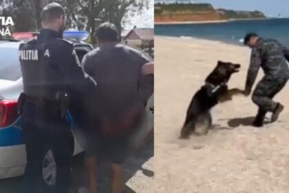video un individ a talharit o batrana de 90 de ani la chirnogeni a fost prins cu ajutorul unui caine politist 69de4bfc55fc9