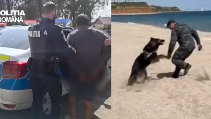 video un individ a talharit o batrana de 90 de ani la chirnogeni a fost prins cu ajutorul unui caine politist 69de4bfc55fc9