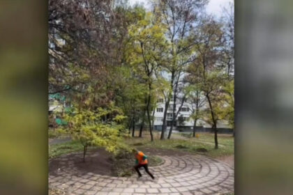 video un roman din vaslui a devenit un model de bun simt si harnicie in bulgaria de ce petrece acesta ore intregi sa curete parcuri si alei 69ee3b35ae371