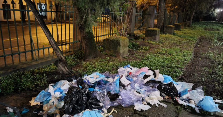videofoto deseuri medicale aruncate in parcul cismigiu o clinica stomatologica din bucuresti a fost amendata cu 70 000 de lei 69d3cb9dc1cc2