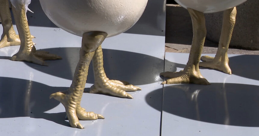 videofoto ouale cu picioare au declansat un scandal la timisoara dupa ce au fost amplasate langa o statuie conflict intre artist si primarie 69d4cfed876d1