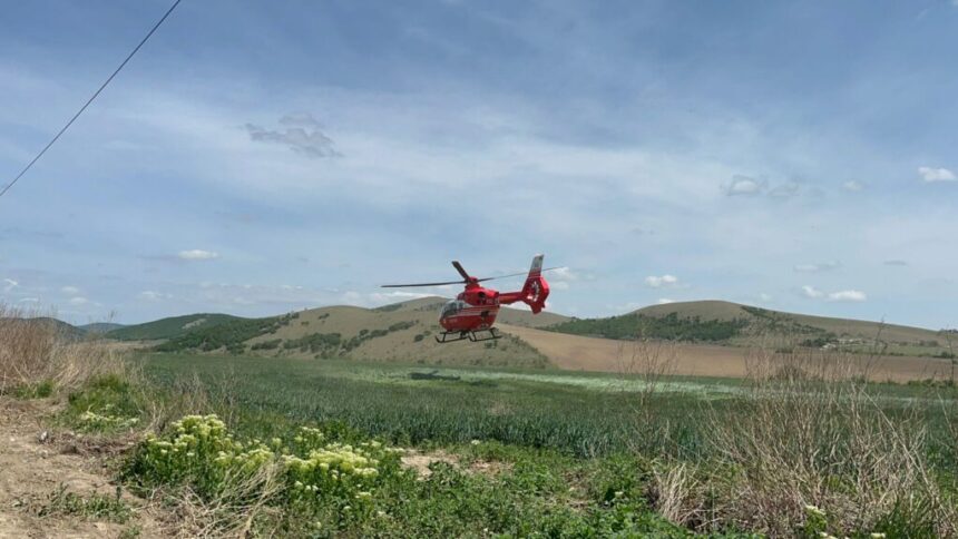 accident grav intre deleni si adamclisi o masina a intrat in copac intervine elicopterul smurd 6a0087ccd1239