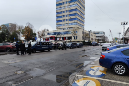 blocaj in atribuirea contractului pentru achizitia serviciilor de gestionare a cainilor fara stapan din portul constanta ce s a intamplat in cadrul procedurii 6a13be22765f7