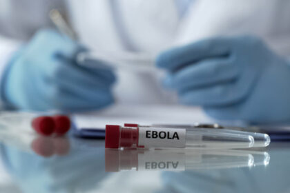 care este riscul unei raspandiri a ebola in europa dupa avertismentul oms stim ca bolile nu se opresc la granite 6a0db88668f0e