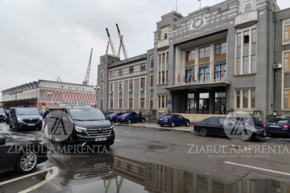 cn apm constanta inca o incercare de atribuire a contractului ce vizeaza serviciile de capturare a cainilor fara stapan din portul constanta licitatiile ratate de mai multe ori 6a1717f94a14a