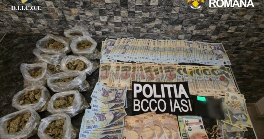 cocaina vanduta intr o vulcanizare din iasi cinci persoane au fost arestate preventiv 6a0db17c36410