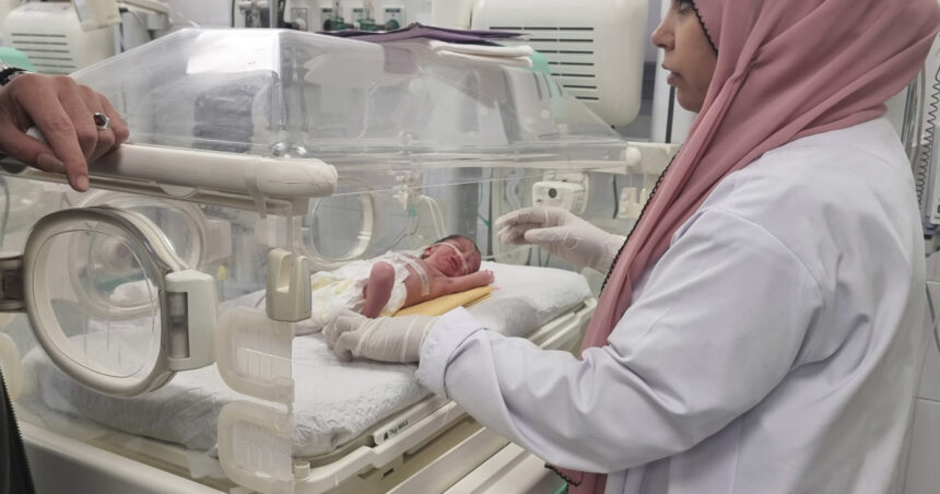criza de malnutritie artificiala intretinuta de israel in fasia gaza acuzatiile organizatiei medici fara frontiere 69fc3d1b9e3ae