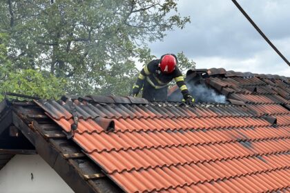 foto video incendiu de proportii in tulcea proprietara ranita de flacari 6a0064dbd3c42