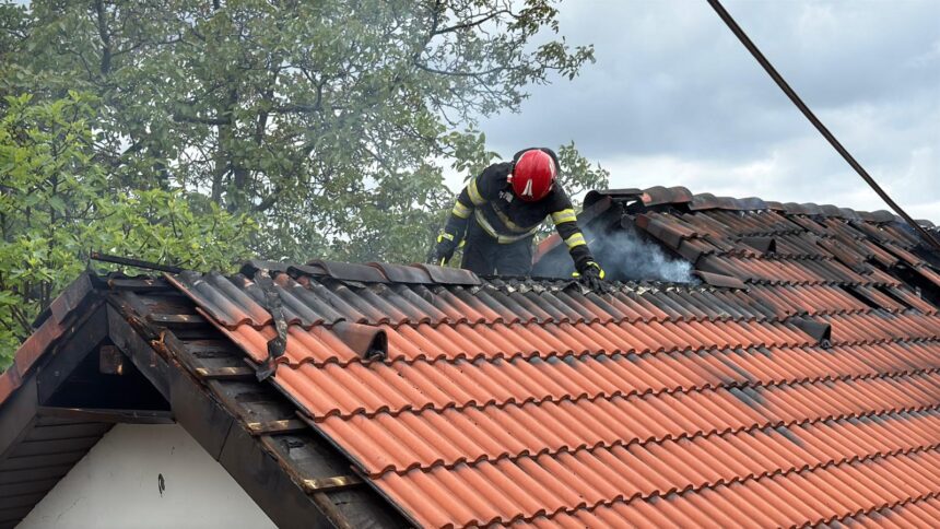 foto video incendiu de proportii in tulcea proprietara ranita de flacari 6a0064dbd3c42