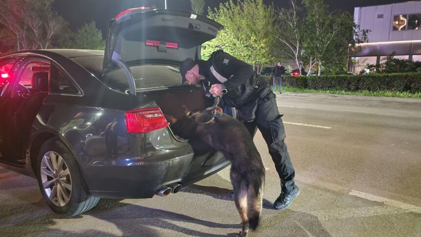foto video razii de amploare noaptea trecuta in constanta mamaia si navodari ce au descoperit politistii 6a09912a64d5b