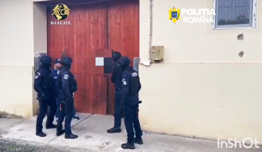 foto video zeci de traficanti saltati de mascati direct din pat in aceasta dimineata foloseau minori pentru a vinde drogurile 6a0d65fadb5d0