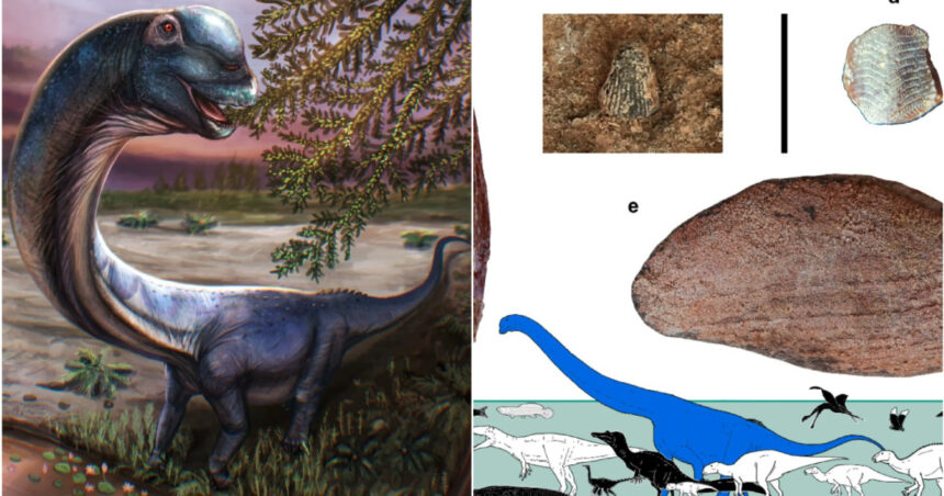 galerie foto ultimul titan al asiei de sud est descoperit in thailanda dinozaurul de 28 de tone ar fi fost cel mai mare din regiune 6a0aa50456bca
