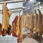 niste afaceristi din judetul constanta au cerut ordin de protectie impotriva furnizorului de carcase de porc se ajunsese la amenintari 6a14c2d8397d2
