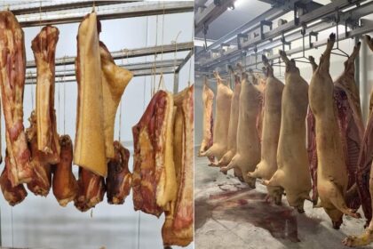 niste afaceristi din judetul constanta au cerut ordin de protectie impotriva furnizorului de carcase de porc se ajunsese la amenintari 6a14c2d8397d2