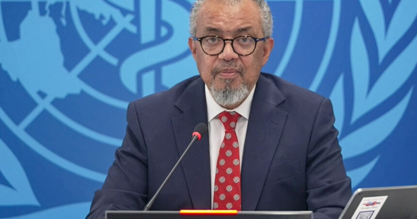 oms despre alerta privind hantavirusul nici inceputul unei epidemii nici al unei pandemii 69fcb12417ca3