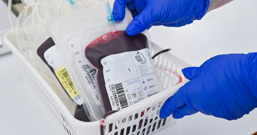pacient mort dupa o transfuzie cu sange incompatibil asistent ati trimis in judecata pentru ucidere din culpa 6a199d0bedee8